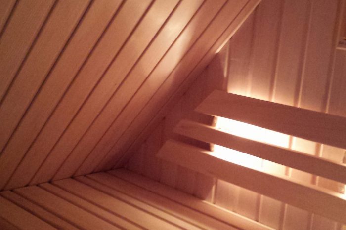 Luxe Finse sauna (4)